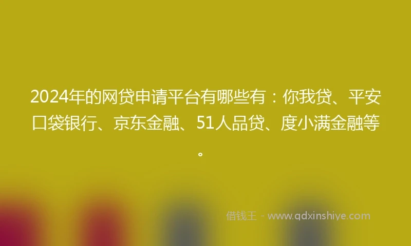 2024年的网贷申请平台有哪些有：你我贷、平安口袋银行、京东金融、51人品贷、度小满金融等。