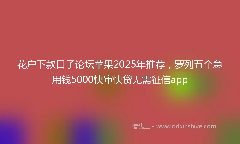 花户下款口子论坛苹果2025年推荐，罗列五个急用钱5000快审快贷无需征信app