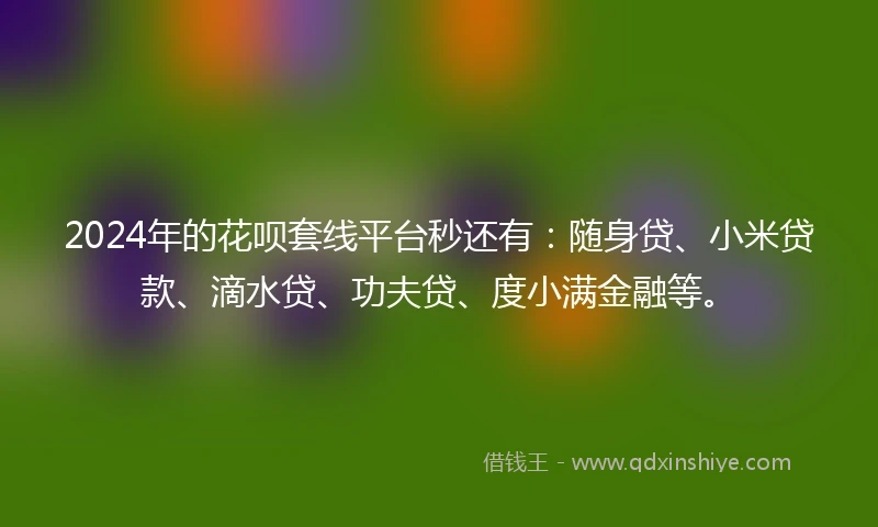 2024年的花呗套线平台秒还有：随身贷、小米贷款、滴水贷、功夫贷、度小满金融等。