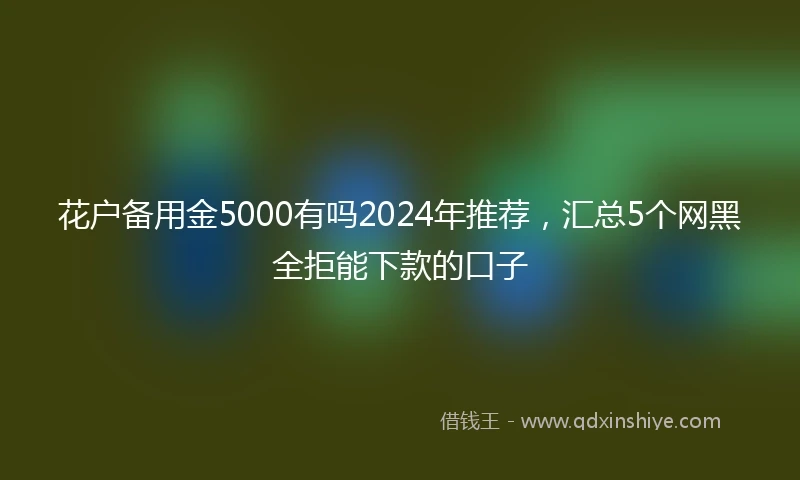 花户备用金5000有吗2024年推荐，汇总5个网黑全拒能下款的口子