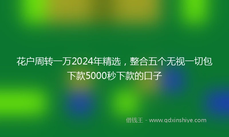 花户周转一万2024年精选，整合五个无视一切包下款5000秒下款的口子