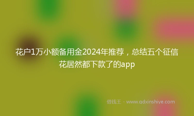 花户1万小额备用金2024年推荐，总结五个征信花居然都下款了的app