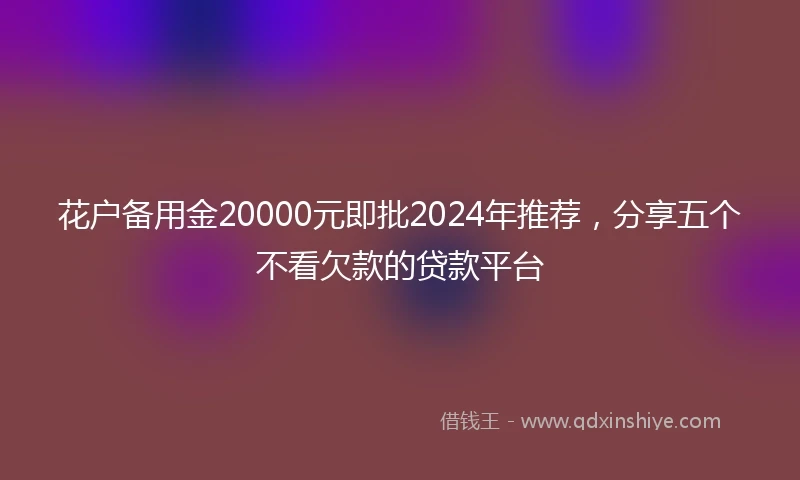 花户备用金20000元即批2024年推荐，分享五个不看欠款的贷款平台