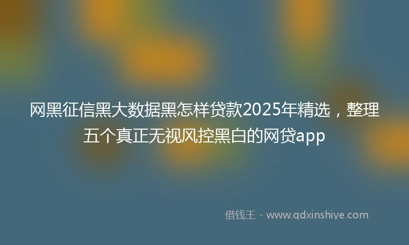 网黑征信黑大数据黑怎样贷款2025年精选，整理五个真正无视风控黑白的网贷app
