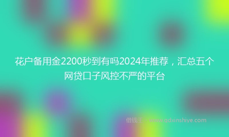 花户备用金2200秒到有吗2024年推荐,汇总五个网贷口子风控不严的平台