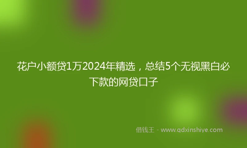 花户小额贷1万2024年精选,总结5个无视黑白必下款的网贷口子