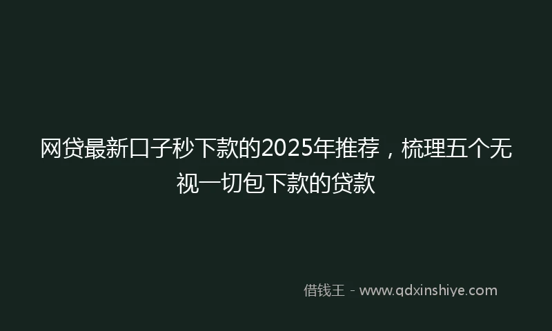 网贷最新口子秒下款的2025年推荐，梳理五个无视一切包下款的贷款