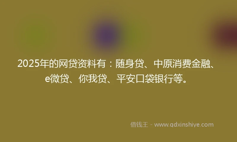2025年的网贷资料有：随身贷、中原消费金融、e微贷、你我贷、平安口袋银行等。