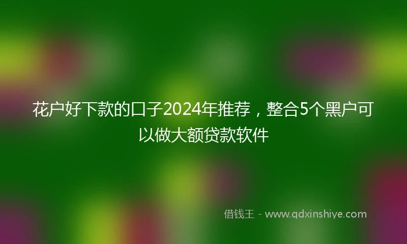 花户好下款的口子2024年推荐，整合5个黑户可以做大额贷款软件