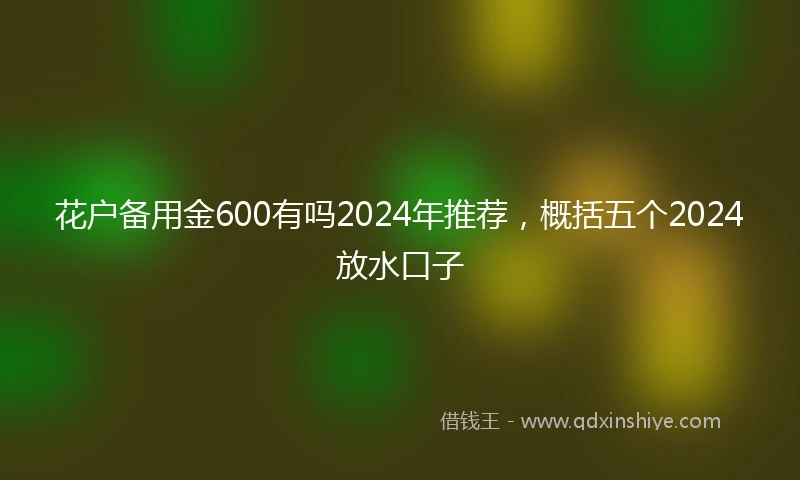花户备用金600有吗2024年推荐,概括五个2024放水口子