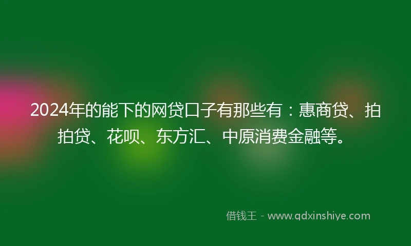 2024年的能下的网贷口子有那些有:惠商贷、拍拍贷、花呗、东方汇、中原消费金融等。