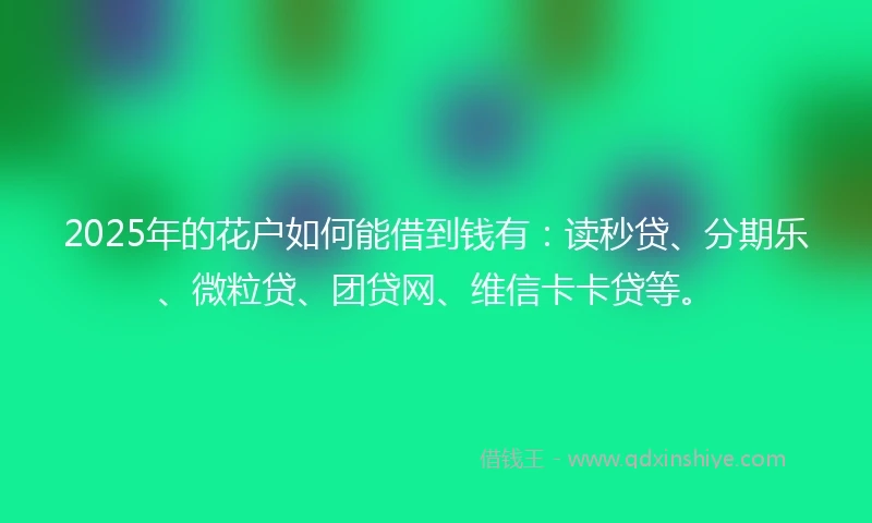 2025年的花户如何能借到钱有:读秒贷、分期乐、微粒贷、团贷网、维信卡卡贷等。