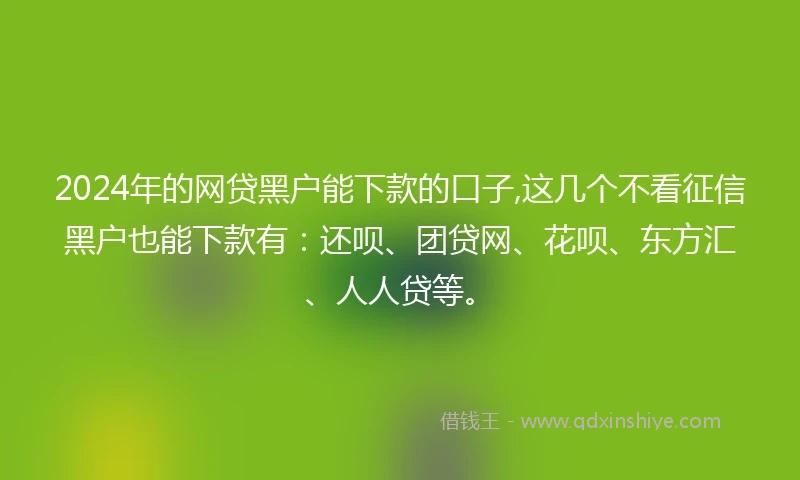 2024年的网贷黑户能下款的口子,这几个不看征信黑户也能下款有：还呗、团贷网、花呗、东方汇、人人贷等。