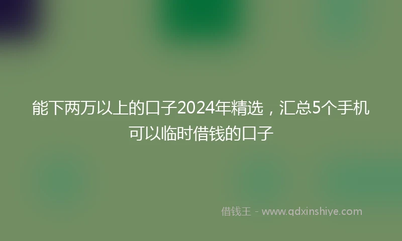 能下两万以上的口子2024年精选，汇总5个手机可以临时借钱的口子