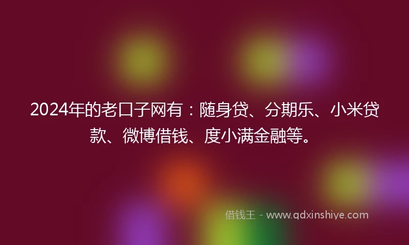 2024年的老口子网有：随身贷、分期乐、小米贷款、微博借钱、度小满金融等。