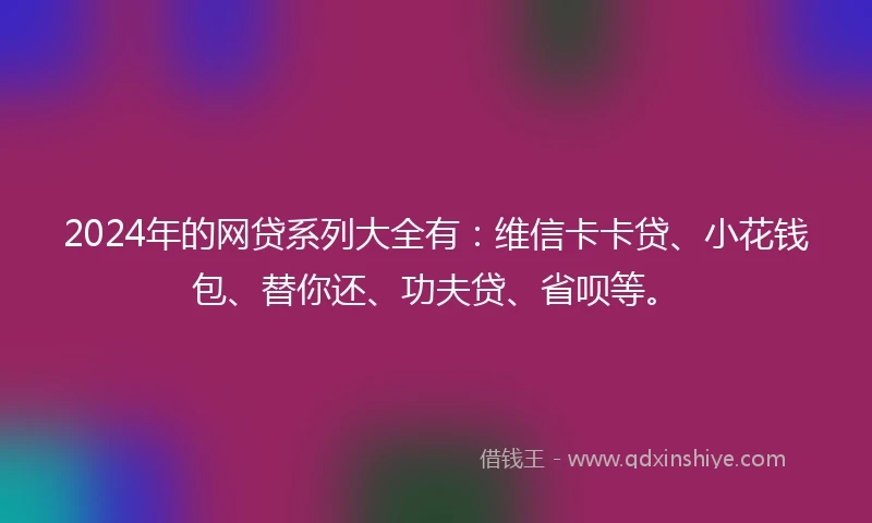 2024年的网贷系列大全有：维信卡卡贷、小花钱包、替你还、功夫贷、省呗等。