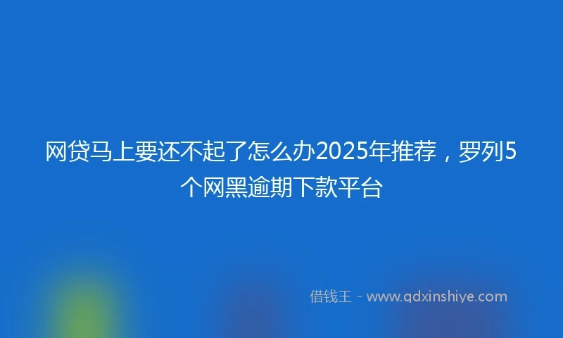 网贷马上要还不起了怎么办2025年推荐，罗列5个网黑逾期下款平台