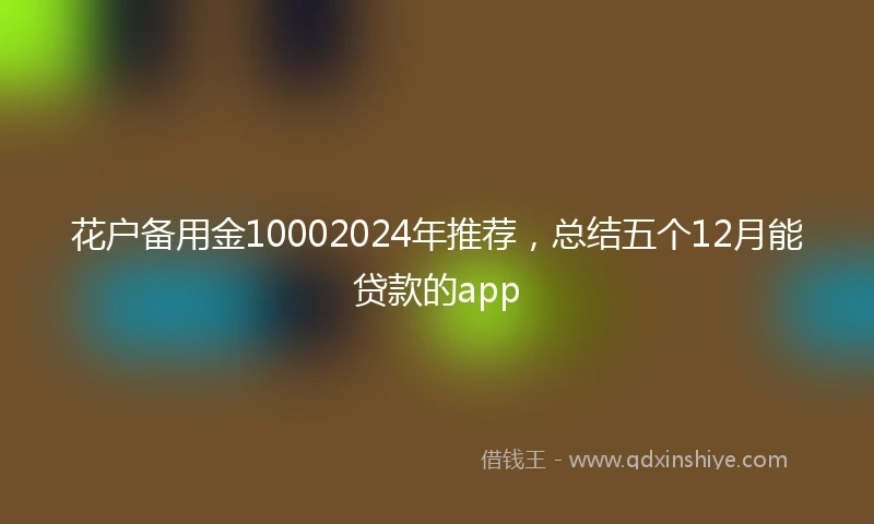 花户备用金10002024年推荐，总结五个12月能贷款的app