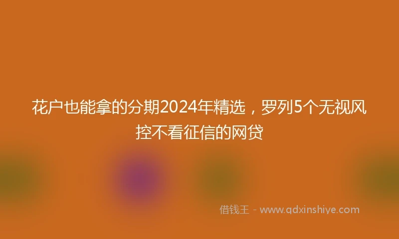 花户也能拿的分期2024年精选，罗列5个无视风控不看征信的网贷