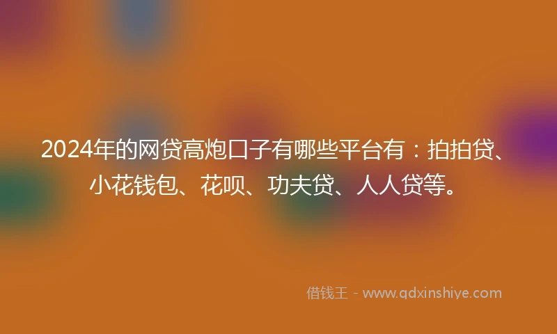2024年的网贷高炮口子有哪些平台有：拍拍贷、小花钱包、花呗、功夫贷、人人贷等。