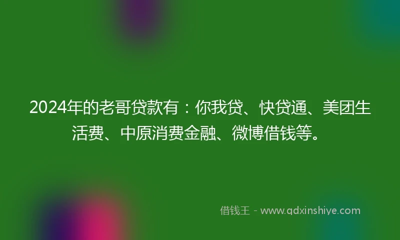 2024年的老哥贷款有：你我贷、快贷通、美团生活费、中原消费金融、微博借钱等。
