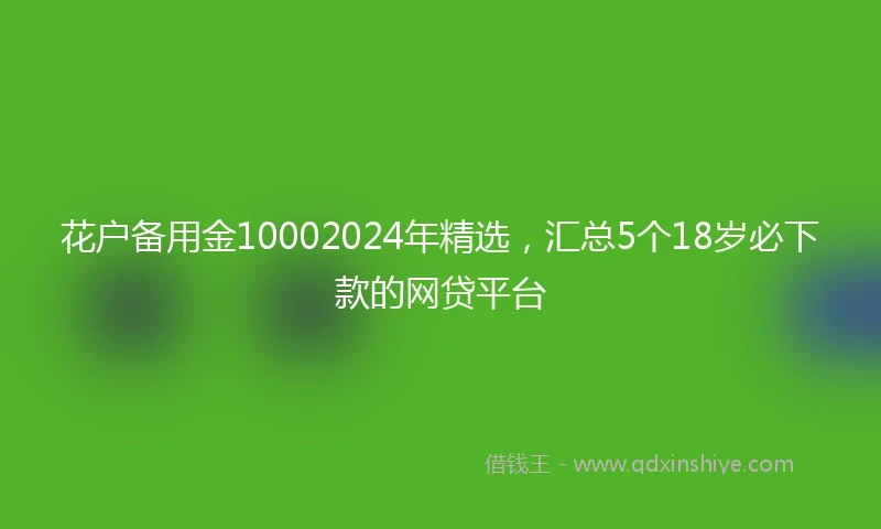 花户备用金10002024年精选，汇总5个18岁必下款的网贷平台