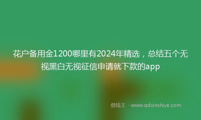 花户备用金1200哪里有2024年精选，总结五个无视黑白无视征信申请就下款的app