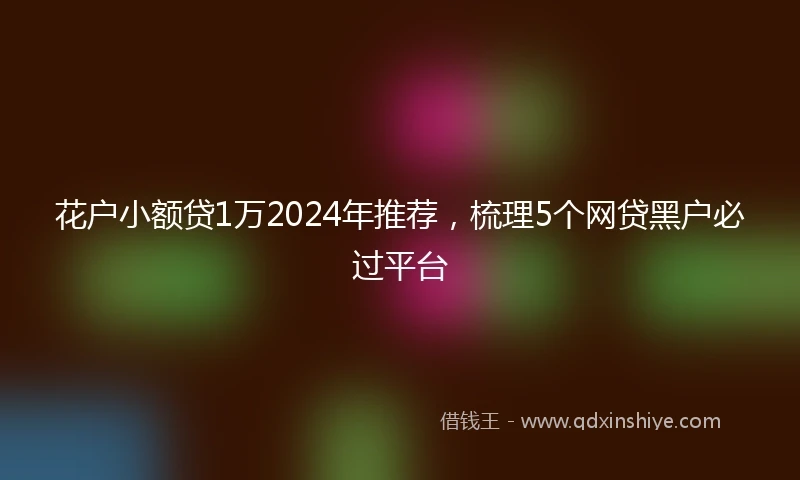 花户小额贷1万2024年推荐，梳理5个网贷黑户必过平台