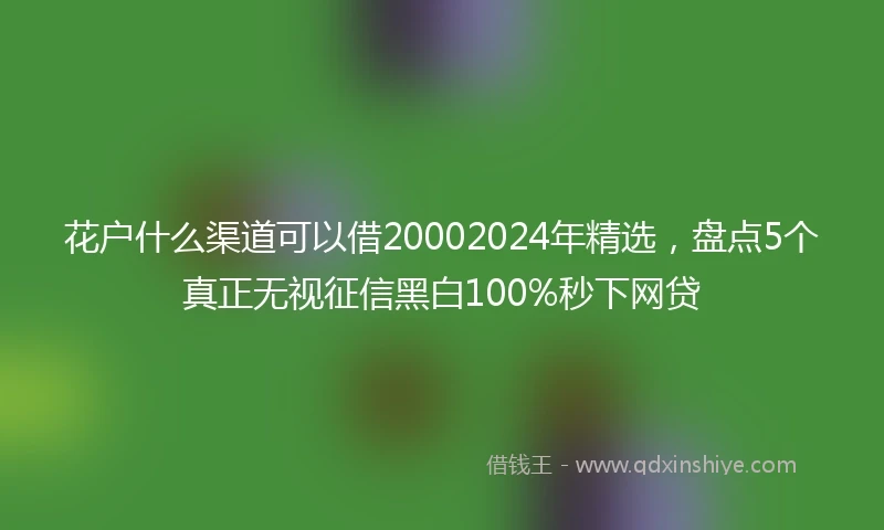 花户什么渠道可以借20002024年精选，盘点5个真正无视征信黑白100%秒下网贷