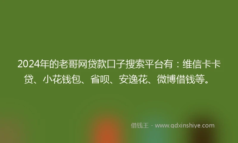 2024年的老哥网贷款口子搜索平台有：维信卡卡贷、小花钱包、省呗、安逸花、微博借钱等。