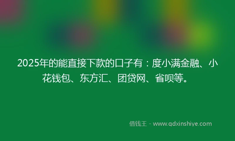 2025年的能直接下款的口子有：度小满金融、小花钱包、东方汇、团贷网、省呗等。