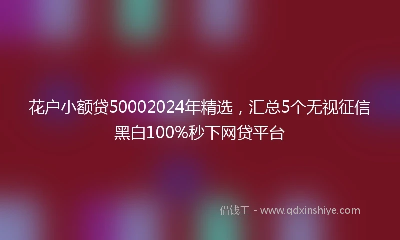 花户小额贷50002024年精选，汇总5个无视征信黑白100%秒下网贷平台