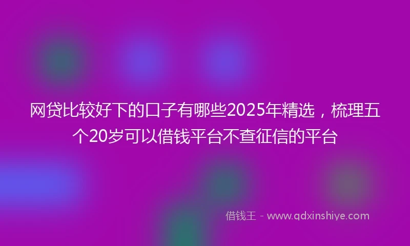 网贷比较好下的口子有哪些2025年精选，梳理五个20岁可以借钱平台不查征信的平台