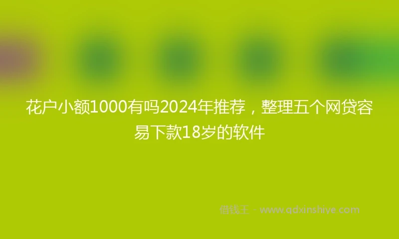 花户小额1000有吗2024年推荐，整理五个网贷容易下款18岁的软件