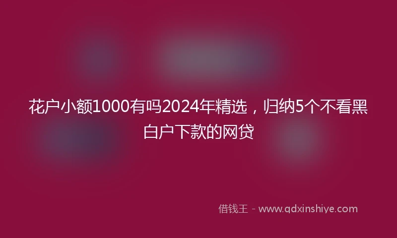 花户小额1000有吗2024年精选,归纳5个不看黑白户下款的网贷