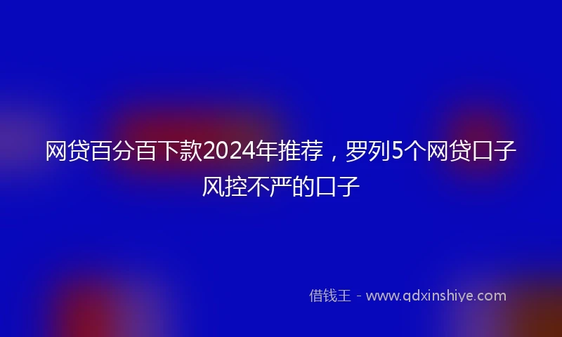 网贷百分百下款2024年推荐，罗列5个网贷口子风控不严的口子