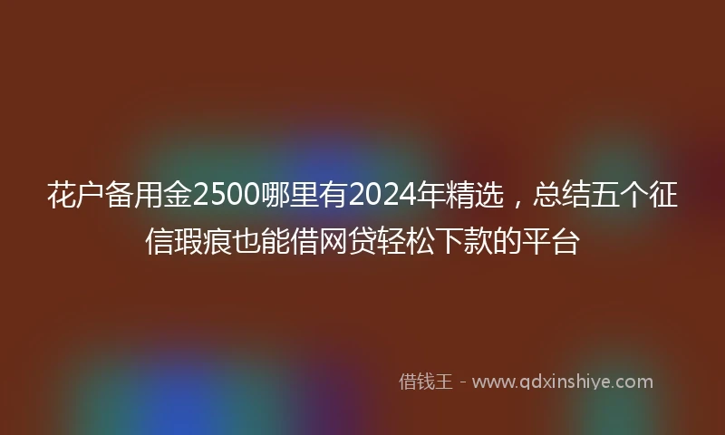 花户备用金2500哪里有2024年精选，总结五个征信瑕疵也能借网贷轻松下款的平台