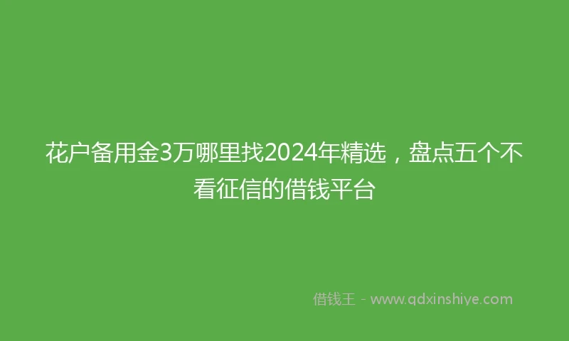 花户备用金3万哪里找2024年精选，盘点五个不看征信的借钱平台