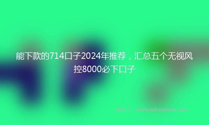 能下款的714口子2024年推荐，汇总五个无视风控8000必下口子