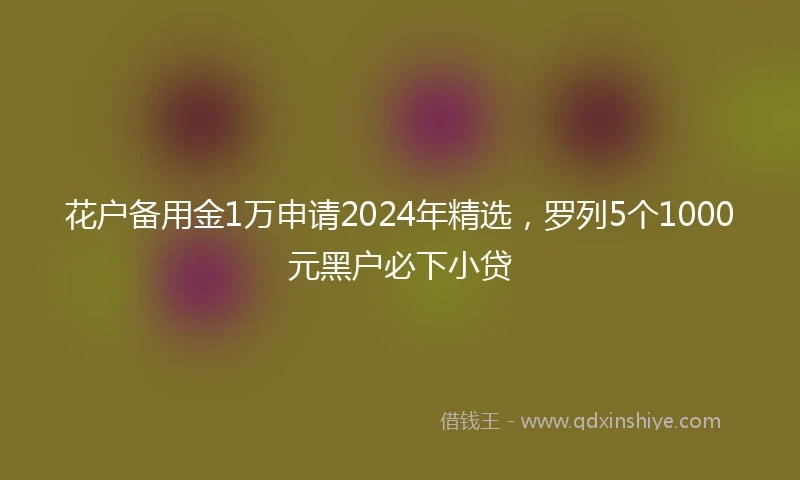 花户备用金1万申请2024年精选，罗列5个1000元黑户必下小贷