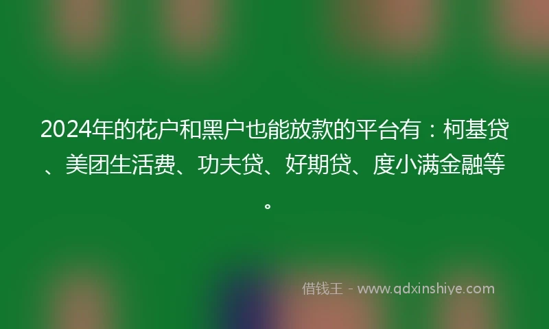 2024年的花户和黑户也能放款的平台有：柯基贷、美团生活费、功夫贷、好期贷、度小满金融等。