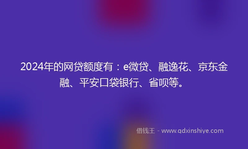 2024年的网贷额度有：e微贷、融逸花、京东金融、平安口袋银行、省呗等。