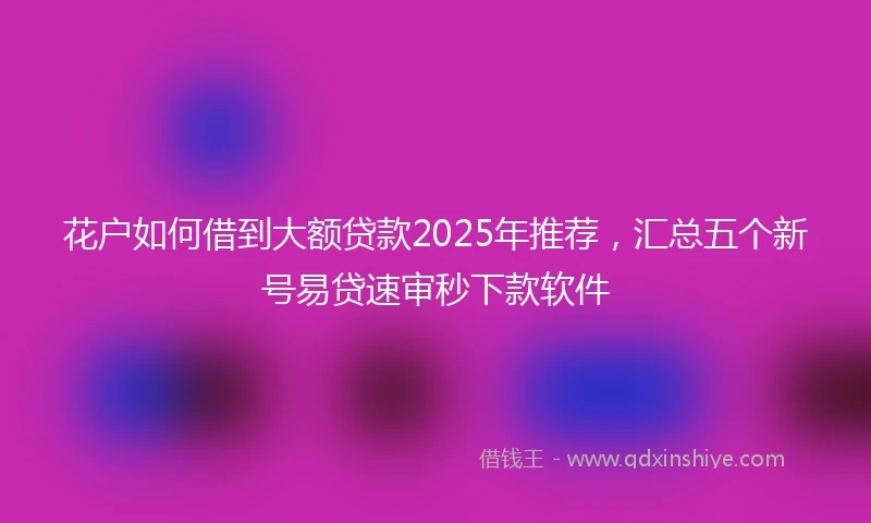 花户如何借到大额贷款2025年推荐，汇总五个新号易贷速审秒下款软件