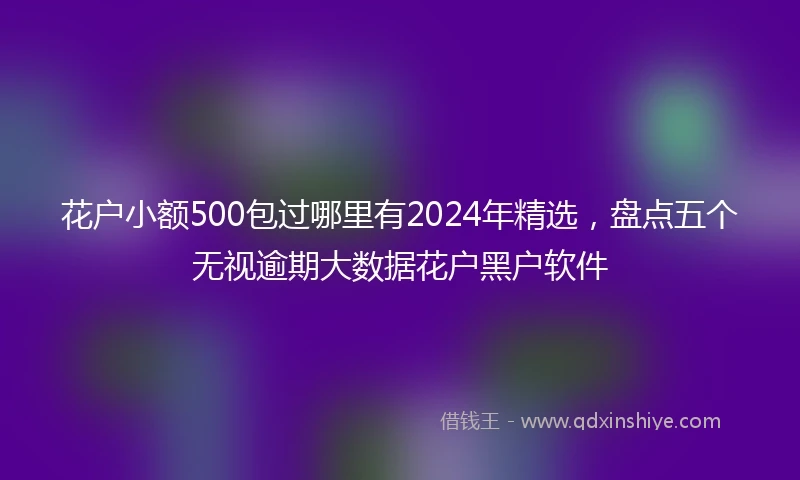 花户小额500包过哪里有2024年精选，盘点五个无视逾期大数据花户黑户软件