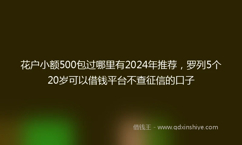 花户小额500包过哪里有2024年推荐，罗列5个20岁可以借钱平台不查征信的口子