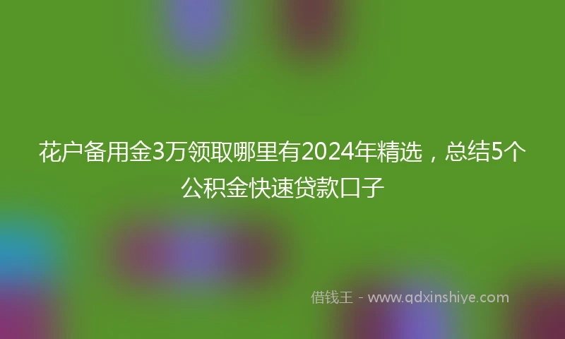 花户备用金3万领取哪里有2024年精选，总结5个公积金快速贷款口子