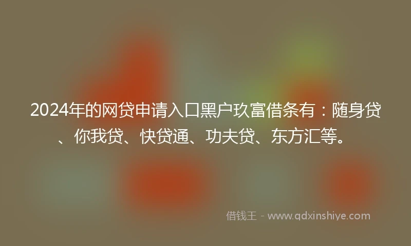 2024年的网贷申请入口黑户玖富借条有：随身贷、你我贷、快贷通、功夫贷、东方汇等。
