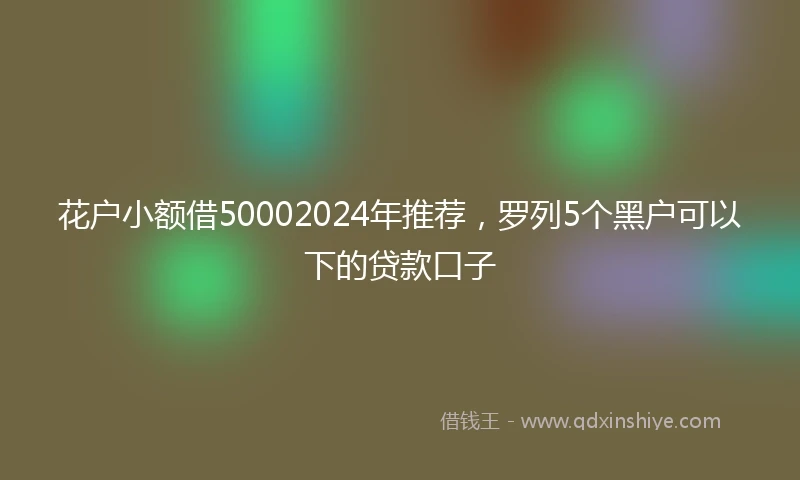 花户小额借50002024年推荐,罗列5个黑户可以下的贷款口子