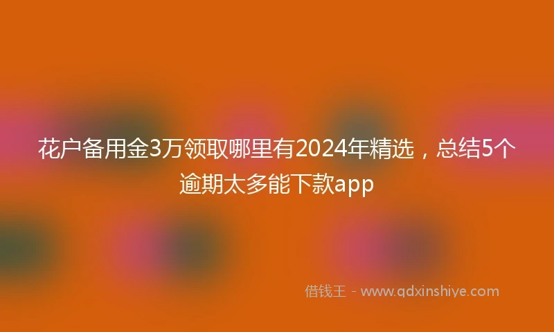 花户备用金3万领取哪里有2024年精选，总结5个逾期太多能下款app