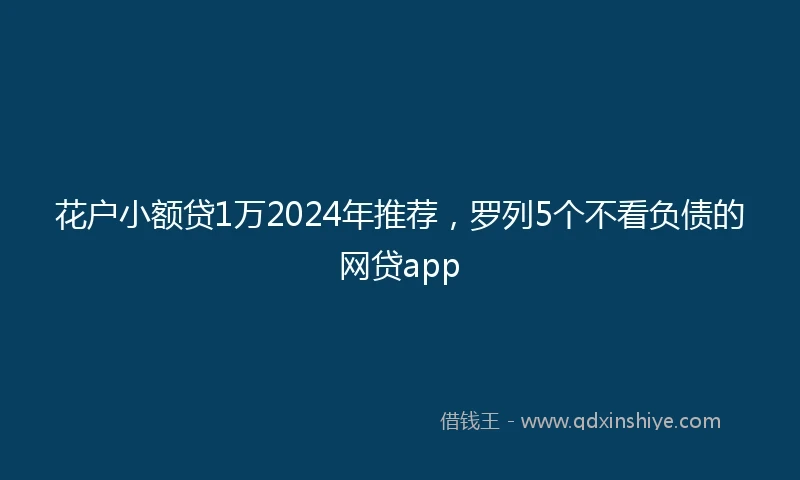 花户小额贷1万2024年推荐，罗列5个不看负债的网贷app